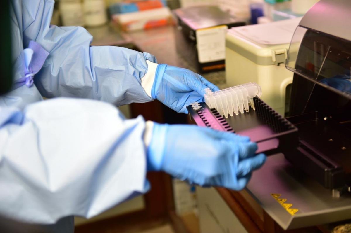Estudo indica que maioria de infectados pelo coronavírus cria anticorpos