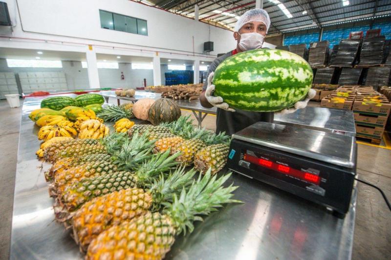 Governo do Amazonas adquire mais 67 toneladas de alimentos de produtores rurais 