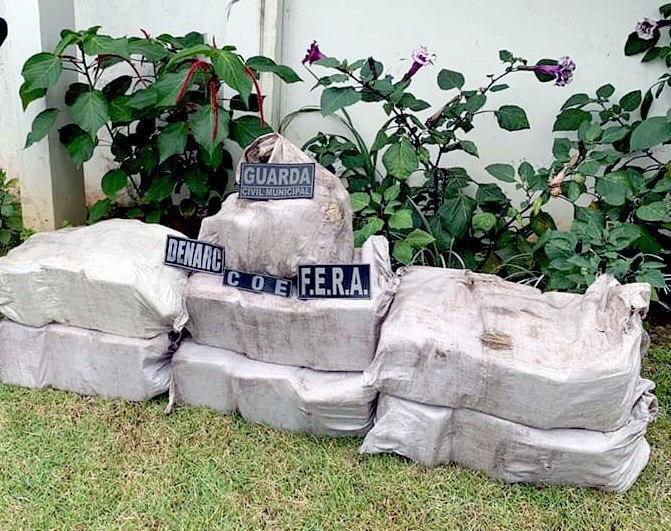 Em Barcelos, Polícia Civil prende colombiano com 136 quilos de skunk