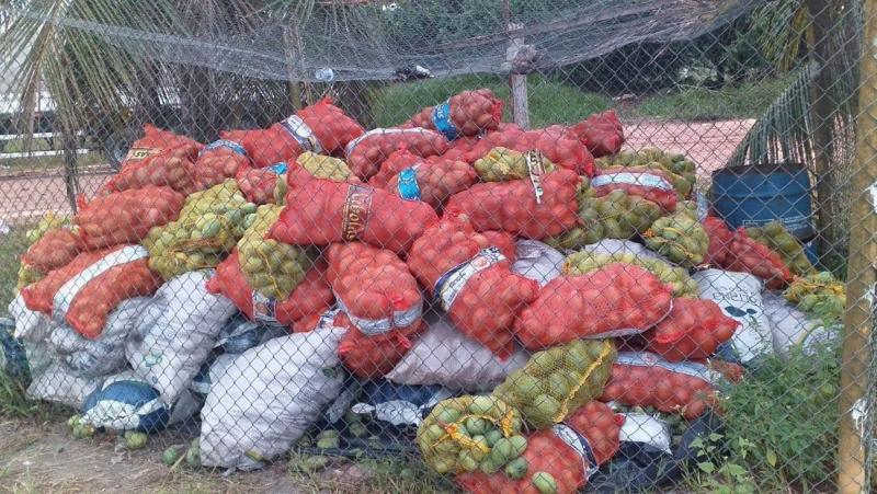 Adaf apreende sete toneladas de manga na barreira de vigilância agropecuária de Jundiá