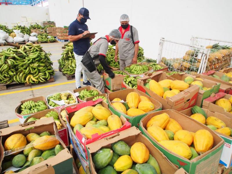 Governo do Amazonas compra mais 30 toneladas de alimentos para doação a pessoas em vulnerabilidade social
