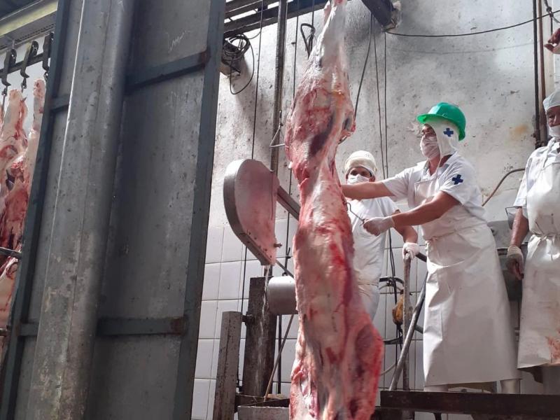 Adaf inspecionou mais de 100 mil animais em agroindústrias para beneficiamento de alimentos