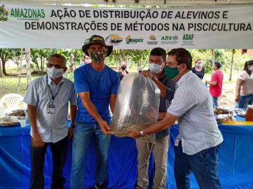 Piscicultores de Manacapuru e Careiro Castanho recebem 160 mil alevinos e 52 aeradores