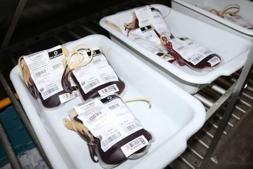 Tipo sanguíneo de 70% dos amazonenses está com estoque crítico no Hemoam