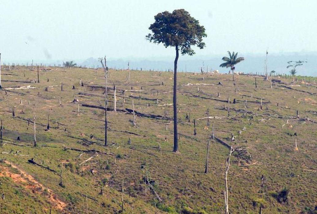 Governo federal  prorroga presença das Forças armadas na Amazônia Legal