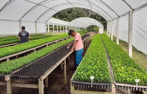 Governo do Estado fortalece defesa vegetal no interior com integração de aprovados da Adaf