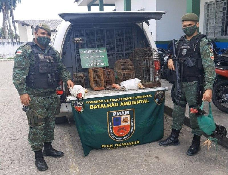 Batalhão Ambiental detém responsáveis por rinhas de galos nas zonas norte e leste de Manaus
