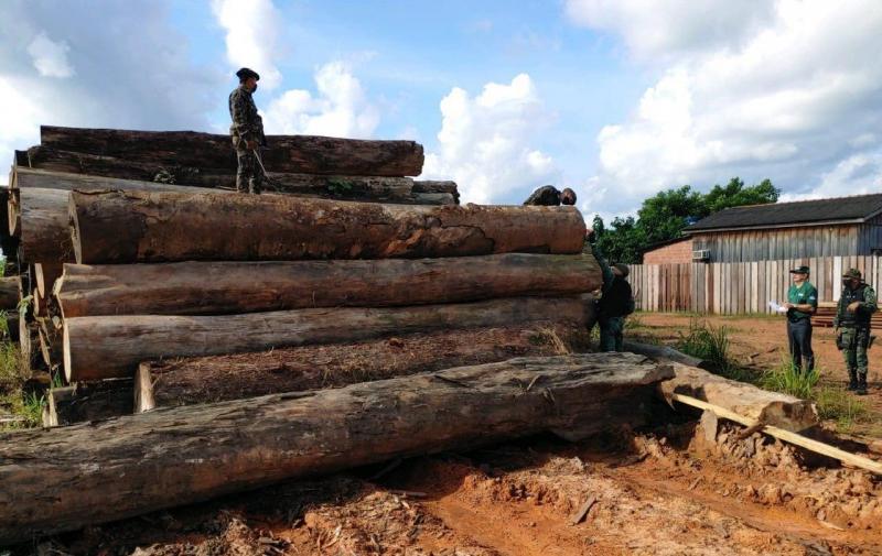 Amazonas tem redução de 12% em alertas de desmatamento no mês de junho