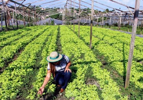 Governo do Estado fortalece ações no setor primário por meio de contrato entre Sepror e Aadesam
