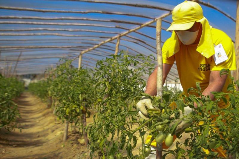 Trabalho de ressocialização implementado pelo Governo do Estado alcança mais de 100 internos do Compaj