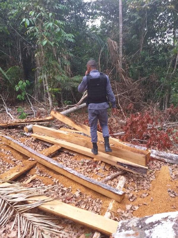 Polícia Militar prende homem acusado de crime ambiental Polícia Militar prende homem acusado de crime ambiental