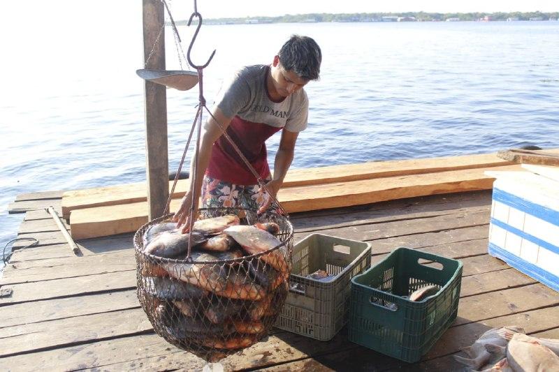 Sepror orienta pescadores de Tefé para acesso a financiamento