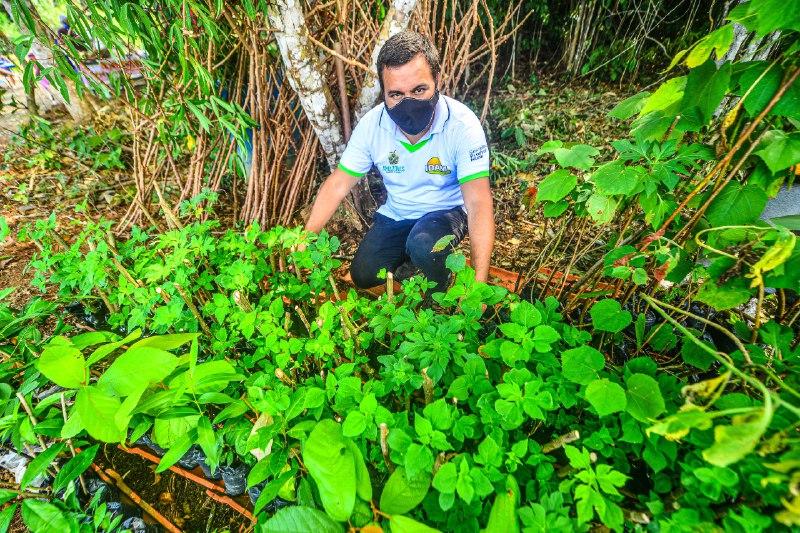 Produção orgânica cresce entre agricultores familiares no Amazonas