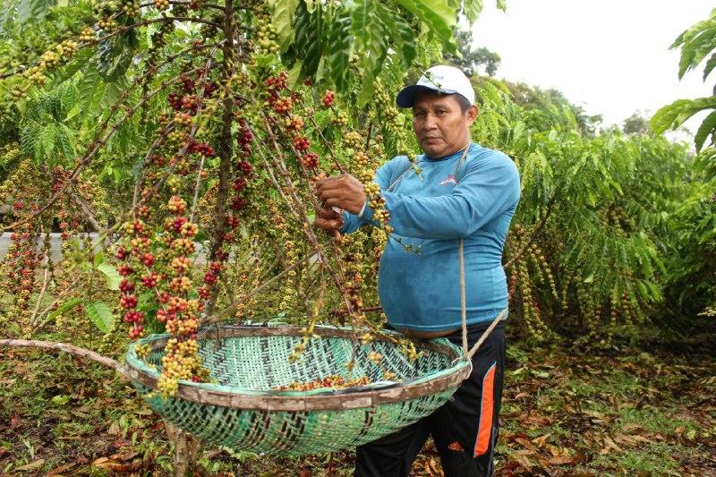 Aadesam lança seleção pública do projeto Produção Sustentável Sepror