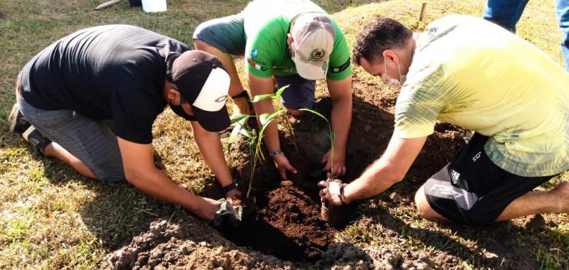 Memorial pela vida: Primeira Igreja Batista faz plantio de árvores em homenagem às vítimas da covid-19