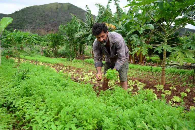 Bolsonaro veta benefício especial para agricultor familiar que não recebeu auxílio