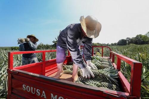 Governo do Amazonas retoma aquisição de itens do Programa de Regionalização da Merenda Escolar