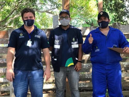 Adaf intensifica segunda etapa da campanha Amazonas sem Febre Aftosa