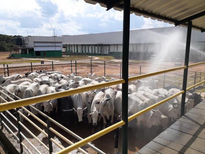 Adesão da Adaf ao Sistema Brasileiro de Inspeção deve elevar em até 50% venda de produtos de origem animal do AM