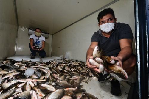 Sepror realiza 11ª edição do programa Peixe no Prato