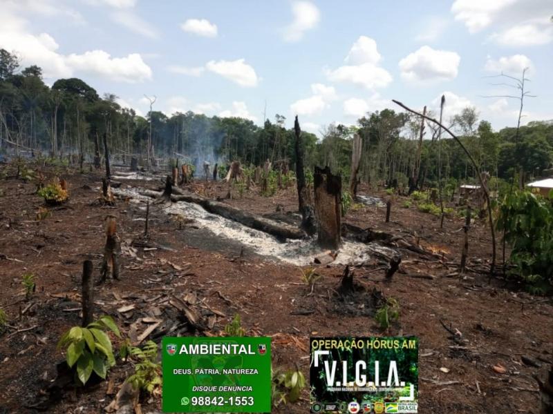 Em Rio Preto da Eva, Batalhão Ambiental detém homem em área de desmatamento ilegal