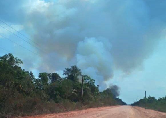MPAM aciona rede de órgãos de proteção ambiental contra queimadas em Humaitá