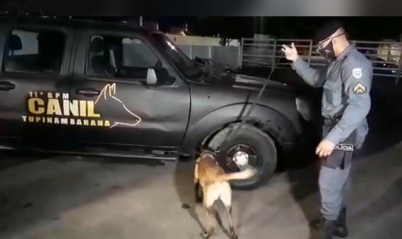 Comando do 11° BPM de Parintins inaugura Canil Tupinambarana