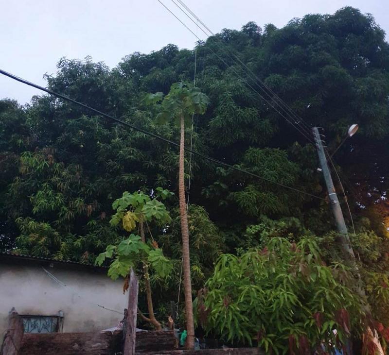 Em Parintins, temporal na madrugada provocou interrupção no fornecimento de energia elétrica