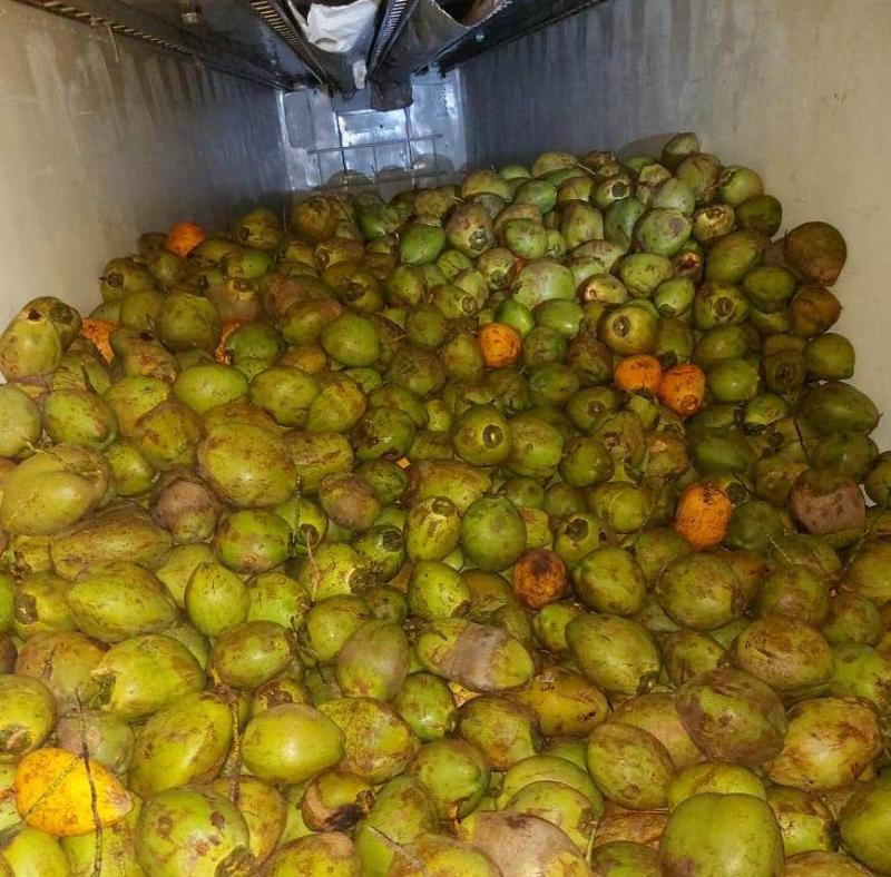 Adaf apreende mais de três toneladas de frutas com trânsito restrito