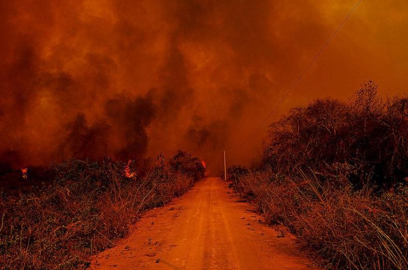 Comissão do Pantanal tem audiência para ajudar a elaborar Estatuto