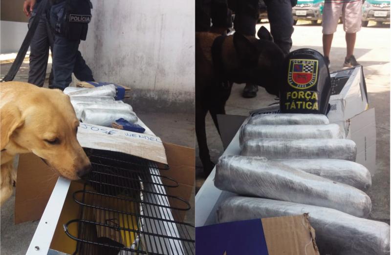 Policiais militares do 11°BPM apreendem 06 tabletes de maconha em embarcação no Município de Parintins
