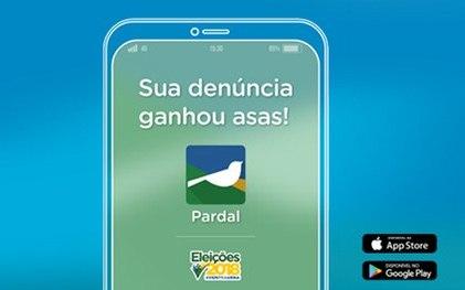Aplicativo Pardal auxilia cidadão em denúncias de irregularidades nas eleições