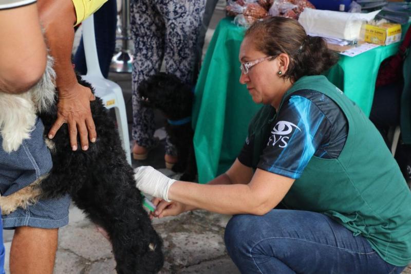 FVS-AM alerta para a importância da vacinação antirrábica animal no Amazonas