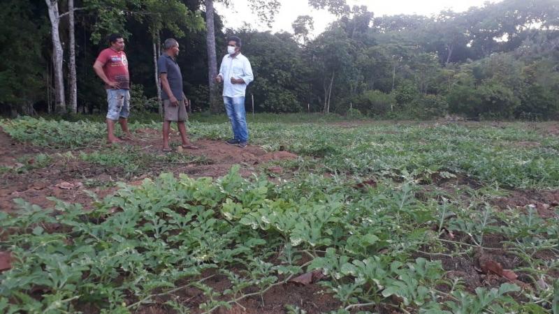 Agricultores comemoram primeiros resultados da mecanização agrícola na Boa Esperança 