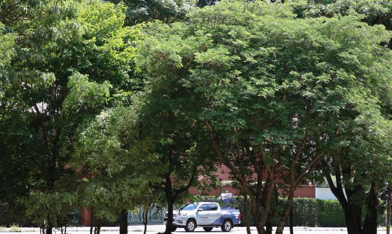 Projeto da CNM capacitará gestores municipais sobre princípios do desenvolvimento sustentável 