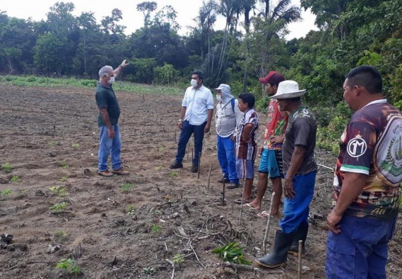 Agricultura de ponta chega a zona rural com o Programa Roçado no Quintal 