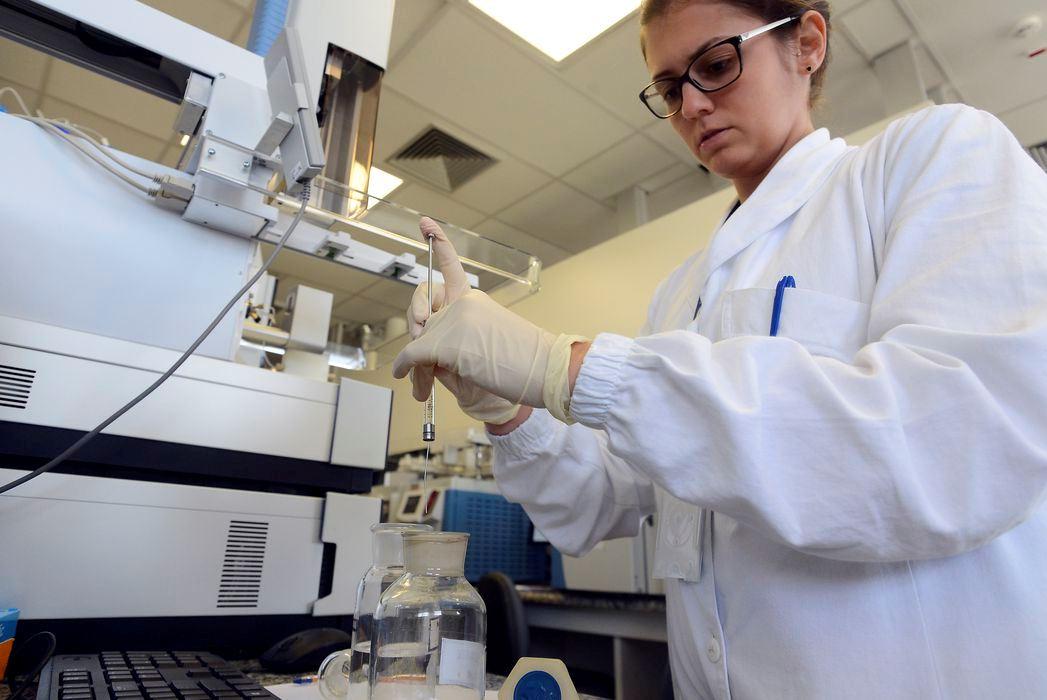 Anvisa publica alerta de risco após confirmar caso de Candida auris