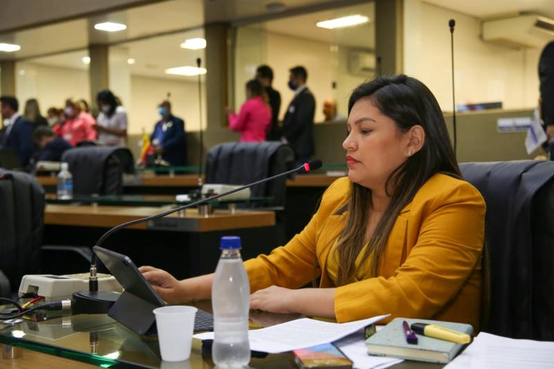 PLs de Joana Darc que garantem mais saúde e transparência para população são aprovados na Aleam