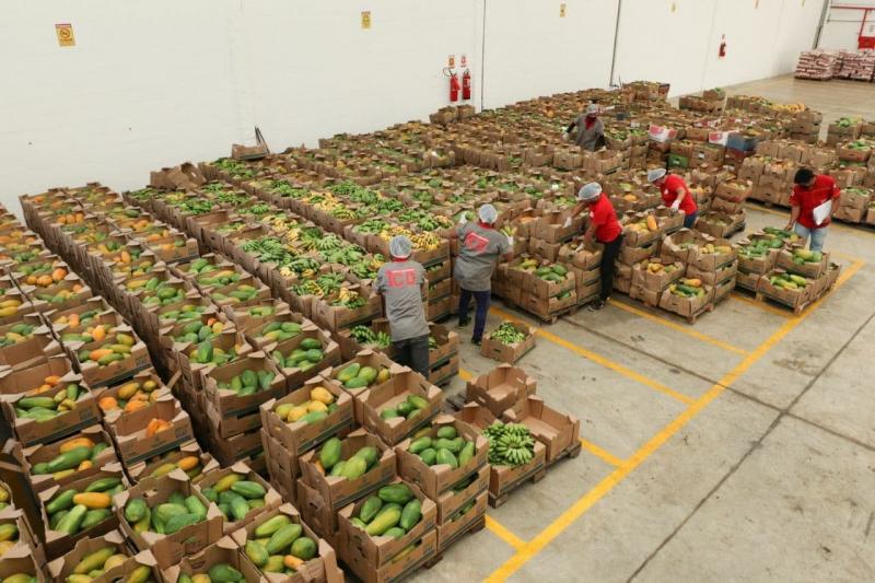 Governo do Amazonas entrega 180 toneladas de alimentos para instituições que atuam com pessoas em vulnerabilidade social