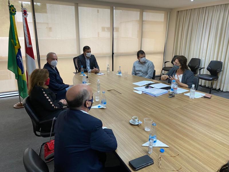 Em reunião com o TCE, governador garante que o Estado se prepara para vacinação contra Covid