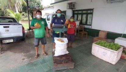 Em Borba, Idam realiza entrega de 3 toneladas de produtos agrícolas para mais de 300 famílias