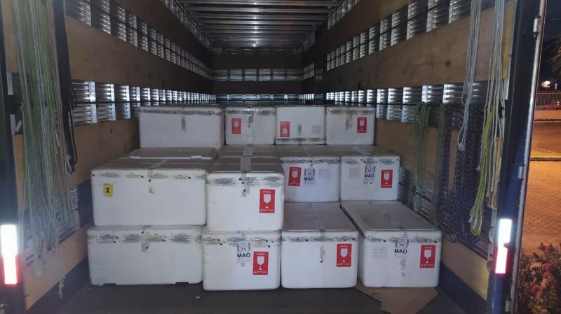 Central de Medicamentos do Amazonas recebe 92,9 mil medicamentos para intubação