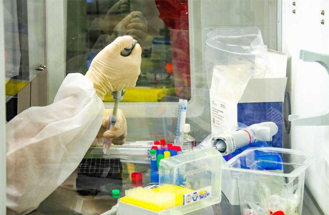 Covid-19: mortes somam mais de 225 mil e casos, 9,2 milhões