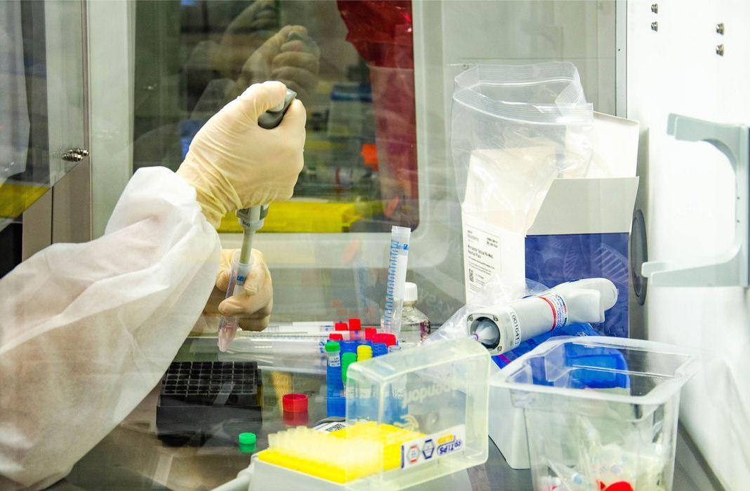 Covid-19: mortes somam mais de 228 mil e casos, 9,3 milhões