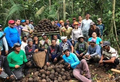 Atividades desenvolvidas pelo Idam em 2020 auxiliaram agricultores, produtores rurais e extrativistas