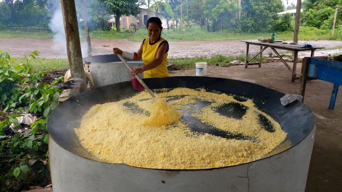 Governo do Estado fomenta a produção de farinha no Amazonas