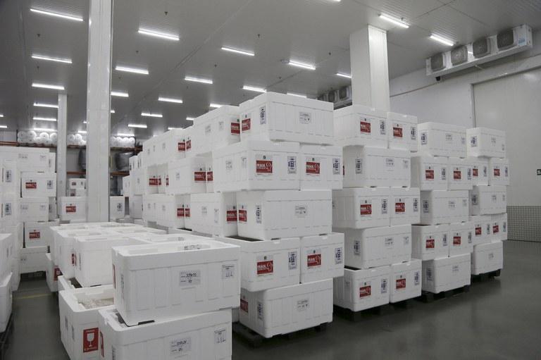 Brasil já investiu R$ 6 bilhões em vacinas contra Covid-19