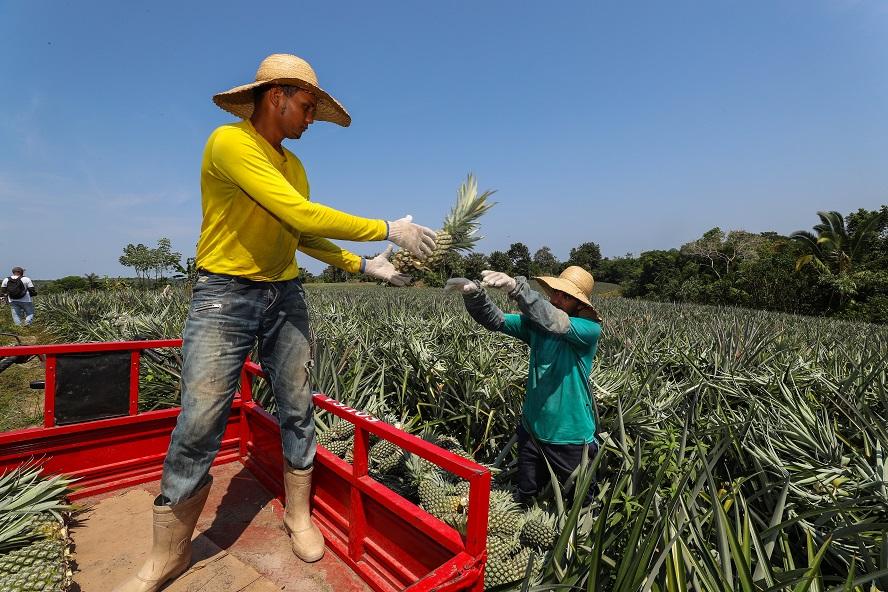 ADS lança oportunidade para produtores rurais e moveleiros