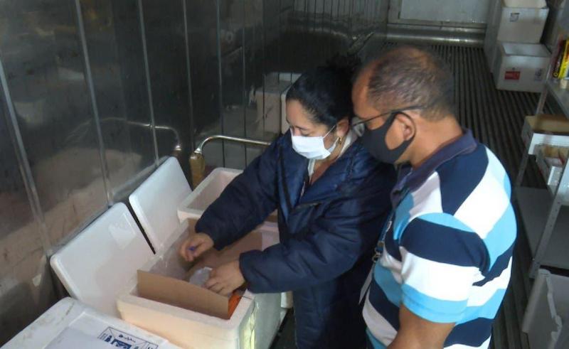 FVS-AM informa que foram aplicadas 172.716 doses de vacina contra Covid-19 no Amazonas