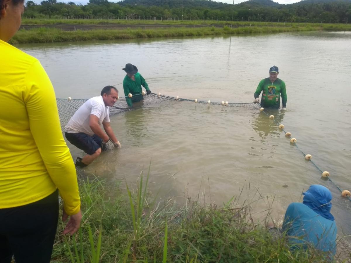 Sepror divulga tabela de insumos da piscicultura em 2021
